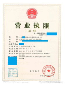 上海注冊非中介留學服務(wù)公司 類別、經(jīng)營范圍與票務(wù)代理指南